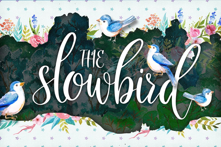The Slowbird Typeface font chữ đẹp