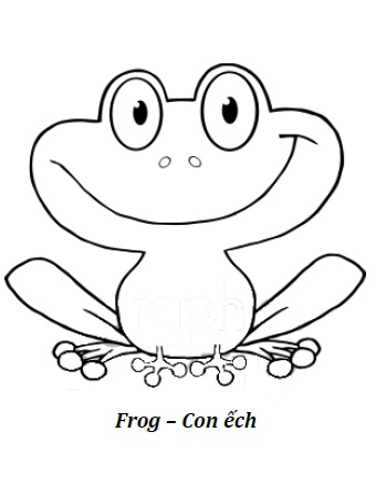 hình chú ếch con